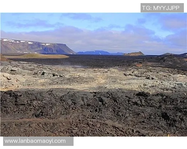冰岛与加纳精彩对决比分直播全程跟踪分析与实时更新